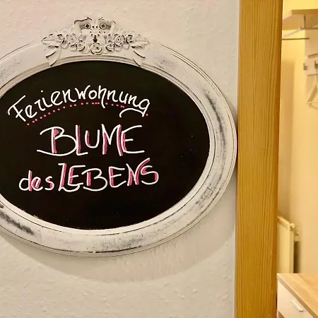 Gesundheitshof Denker Reußenköge